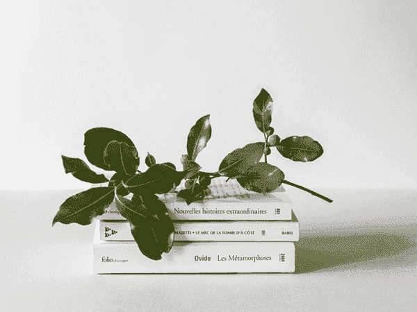 特别懂您的服务器攻击方式